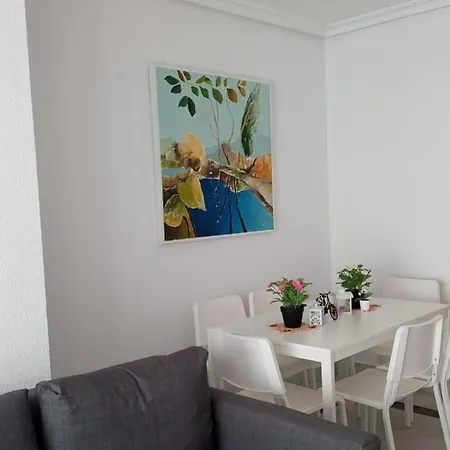 Suitur Con Piscina En Playa マルベーリャ